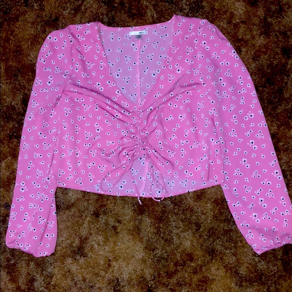 Pink Top From Amuse Society